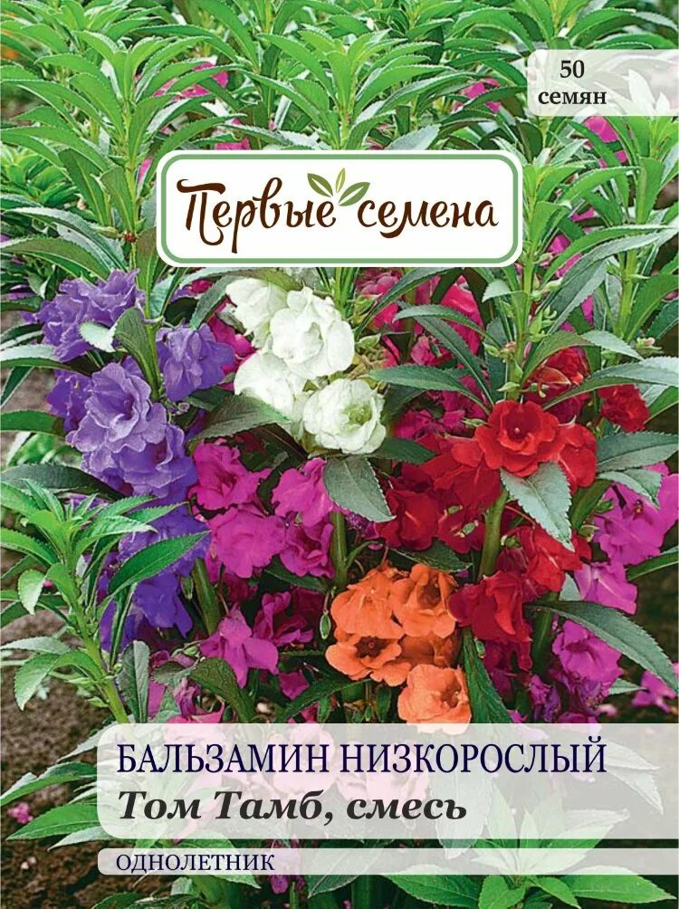 Бальзамины однолетние ПОИСК Агрохолдинг nb.cv.02 - купить по выгодным ценам в ин
