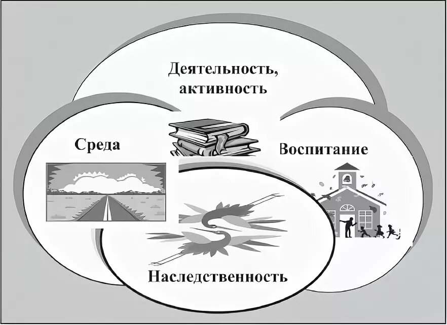 Связь воспитания и среды. Наследственность среда воспитание. Воспитывающая среда и ее развитие. Наследственность,деятельность,среда развития,воспитание. Воспитывающая среда картинки.