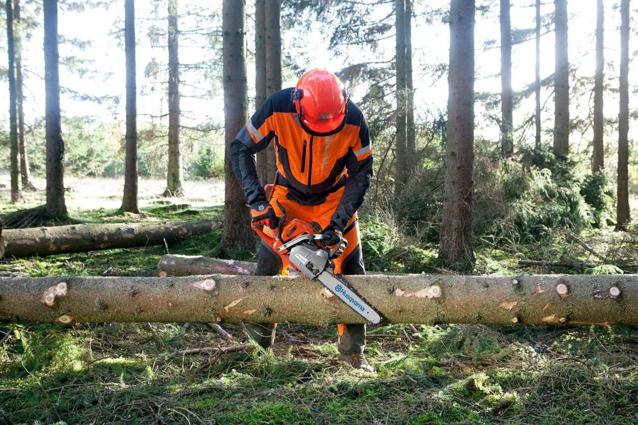 Канадский лесоруб. Вальщик леса (лесоруб). Вальщик леса (лесоруб). Вальщик леса либхер. Shtil лесоруб.