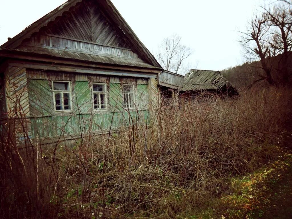 Дома в деревне в пензенской области