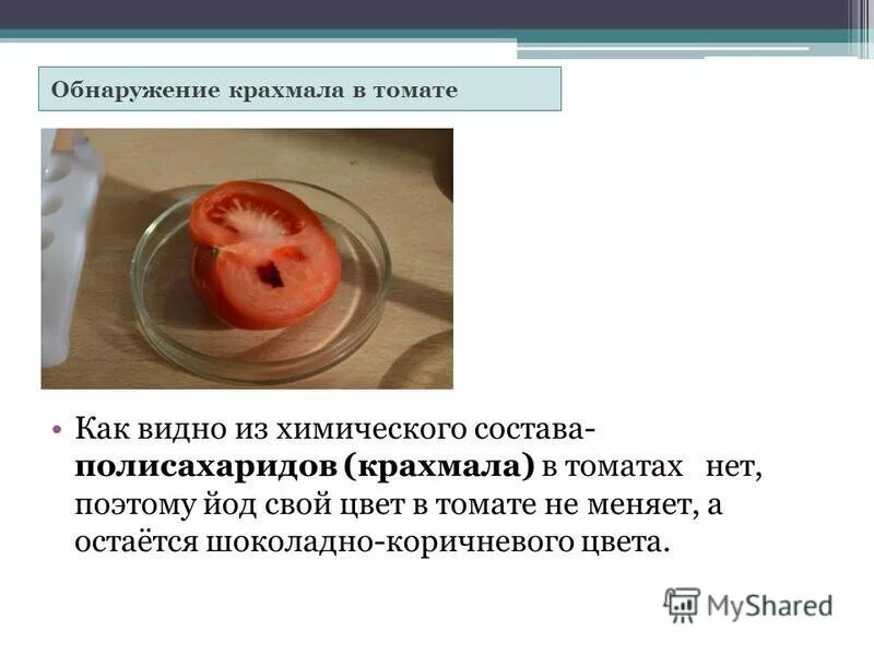 томатная маска для лица. измельчить помидоры блендером. крахмал в помидорах. овощи крахмалистые и некрахмалистые таблица. некрахмалистые овощи.