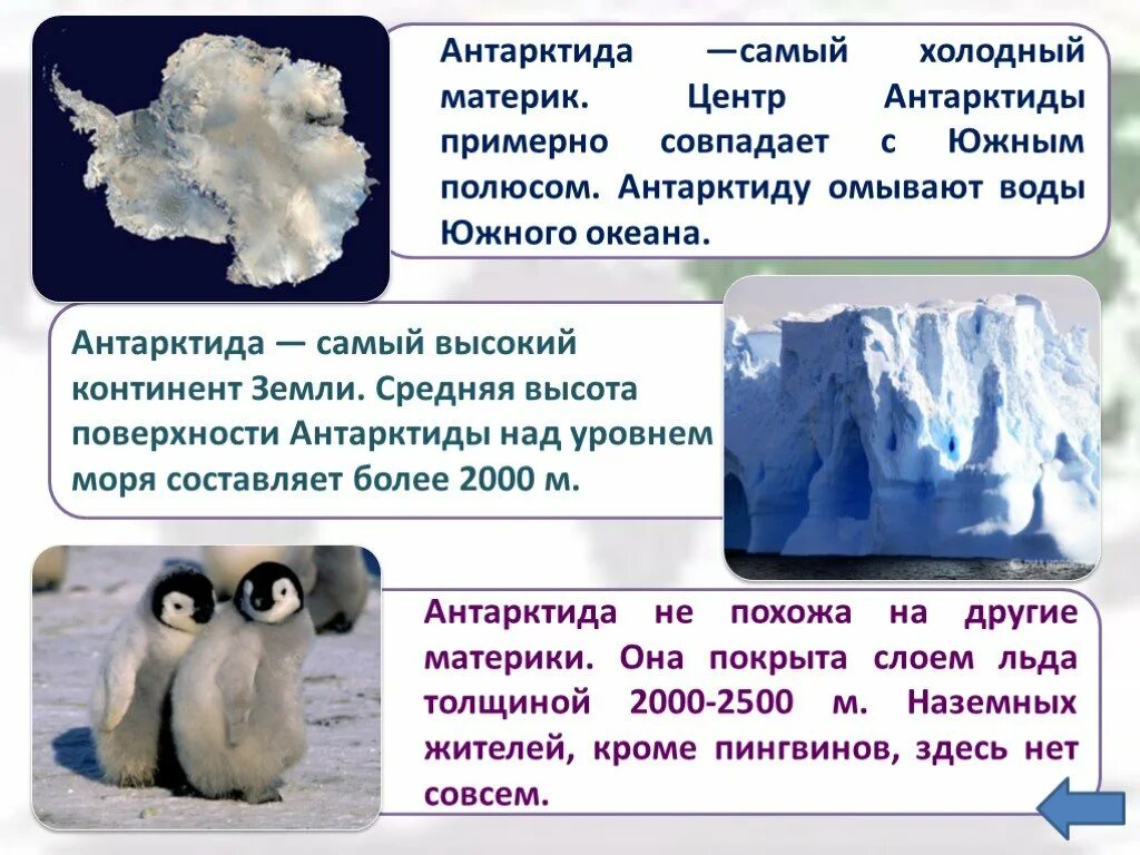 Антарктида это континент. Антарктида самый холодный материк. Антарктида это самый. Антарктида это самый материк. Антарктида - самый холодный материк земли.