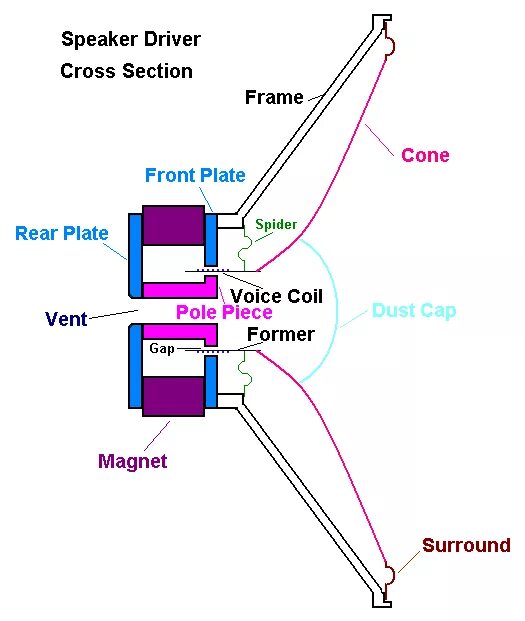 Speaker works. Voice coil &amp; cone. underhung voice coil. how speakers work. voice coil and magnet.