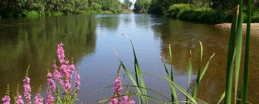 Оренбургская область, Новоорский район, село Новосевастополь. Красноуральск Новоорский район. Село плодовое Новоорский район. Красноуральск Оренбургская область.