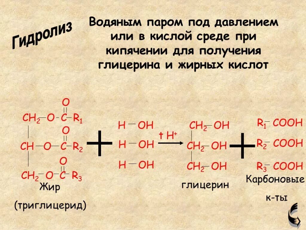 Реакция с водой в кислой среде. Триглицерид получение. Гидролиз триглицеридов. Триолеат глицерина. Триглицерид глицерин.