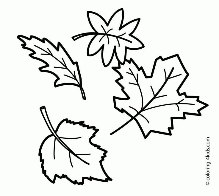 Leaf Coloring Page Tree Coloring Page