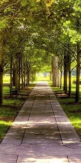 Make path