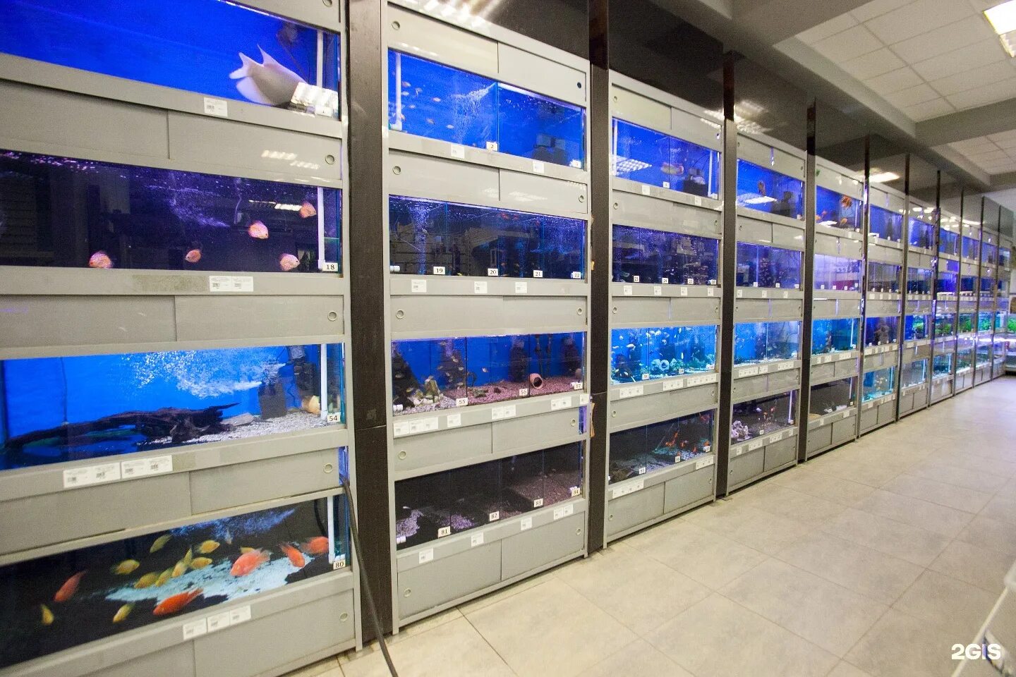 Акваинтерио в санкт петербурге. Акваинтерио в санкт петербурге. Акваинтерио пр энгельса. Аквариумный магазин самара. Акваинтерио пр энгельса.