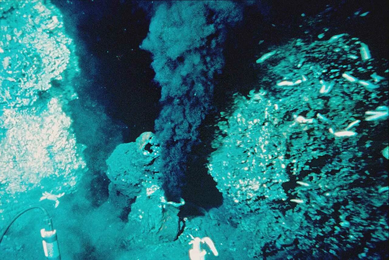 Гидротермальные источники черные курильщики. Черные курильщики Марианская впадина. Подводный гидротермальный источник черный курильщик. Тихий океан гидротермальные источники. Вулканы на дне океанов