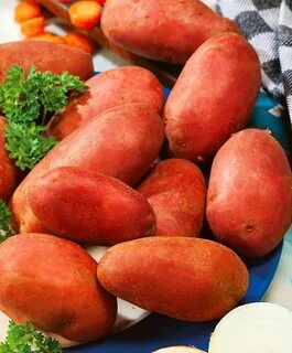 Сорт каменский