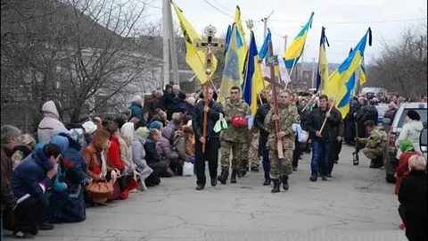 Пливе кача