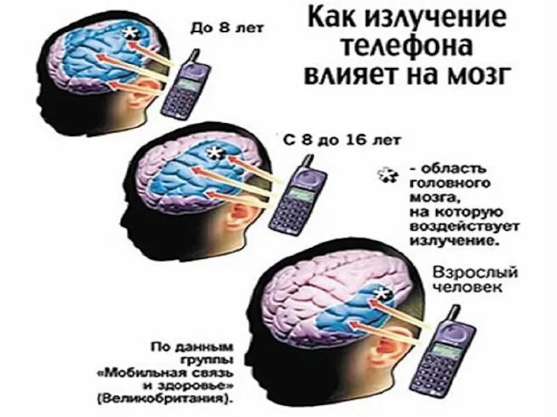 Излучение телефона здоровья. Телефон влияет на мозг. влияние мобильных телефонов на организм человека. влияние сотового телефона на человека. излучение от телефона.