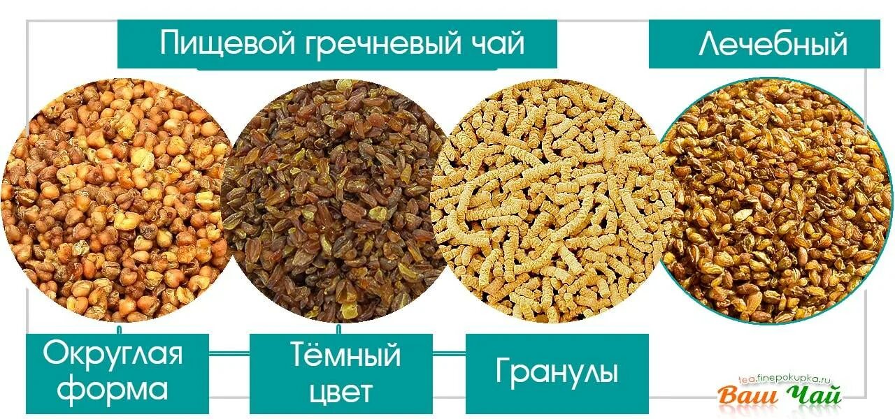 Гречишный чай противопоказания для женщин полезные свойства. Гречишный чай Татарская гречиха. Семена татарской гречихи. Семена гручихитатарской. Чай из гречихи татарской.