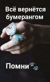 Анет бумеранг