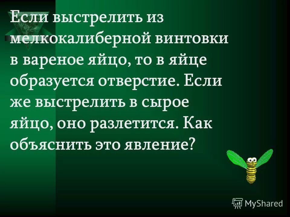 Mossberg 800. 6. Если выстрелить из мелкокалиберной винтовки в пластиковую. Если выстрелить в вареное яйцо. Из мелкокалиберной винтовки выстрелили в сырое и вареное яйцо.