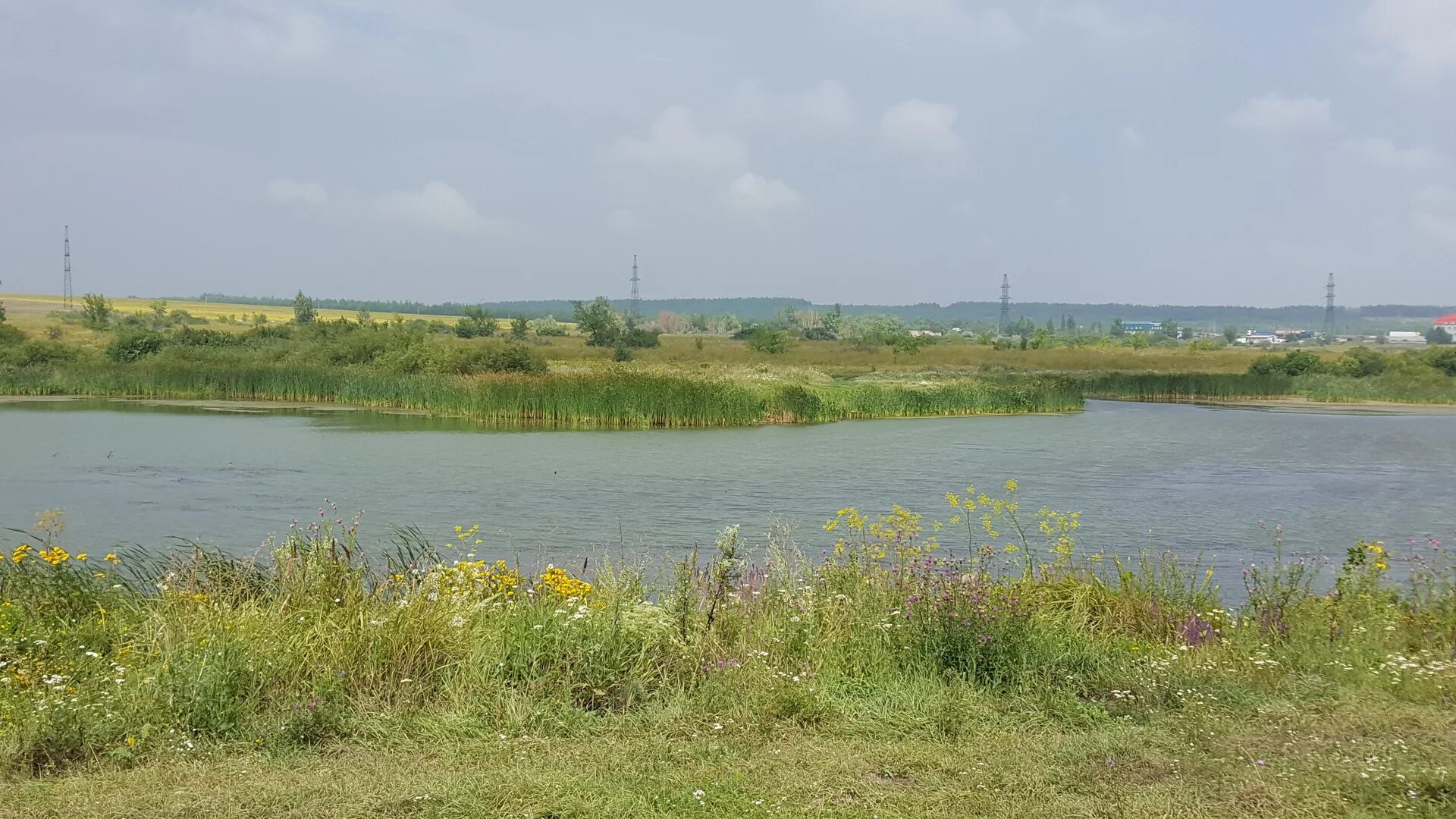 Село Еремеевка Саратовский район. Еремеевка Саратов. Село Еремеевка Саратовская область Саратовский район. Еремеевка Омская область. Еремеевка ершовский район саратовская область