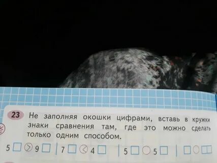 Окно под цифрой 1