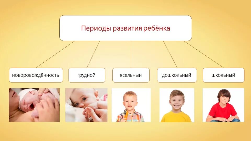Этапы развития ребенка. Периоды развития ребенка после рождения. Рост и развитие ребенка. Становление и развитие ребенка.
