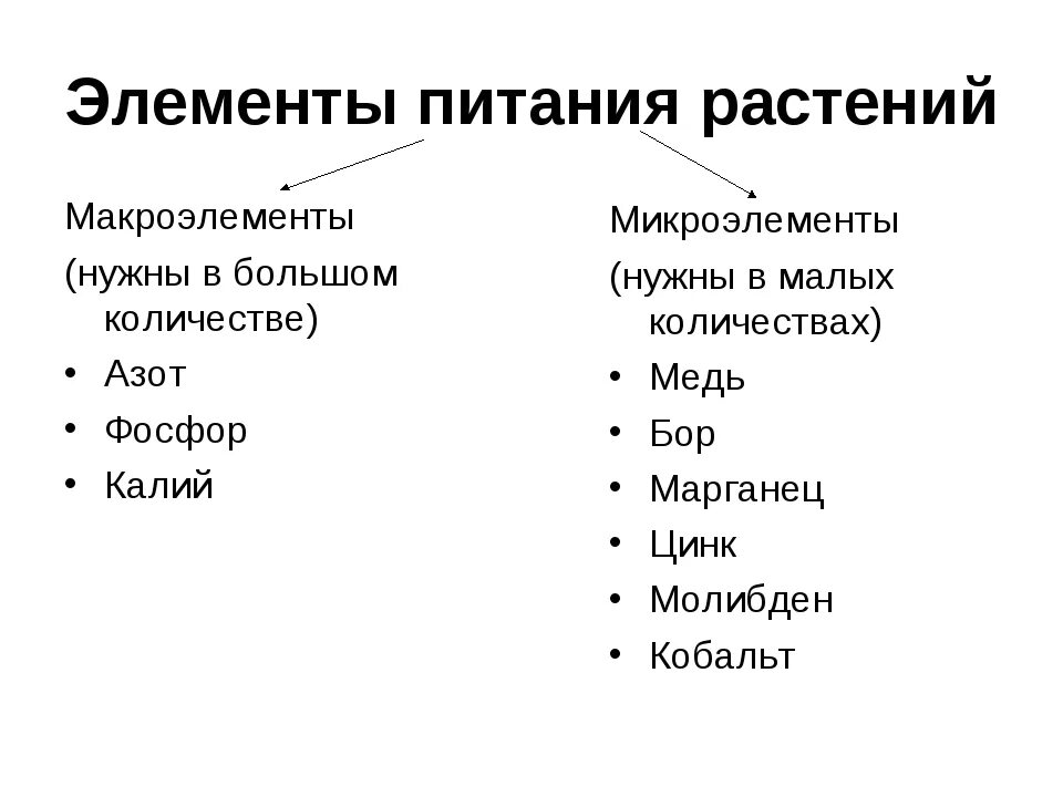 Элементы питания растений микроэлементы. Элементы питания растений таблица. Минеральное питание макроэлементы. Минеральное питание растений удобрения 6 класс. Питание элемент воды