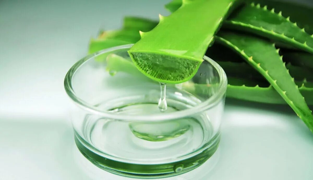 Aloe Vera Gel.