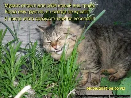 В саду была я не одна