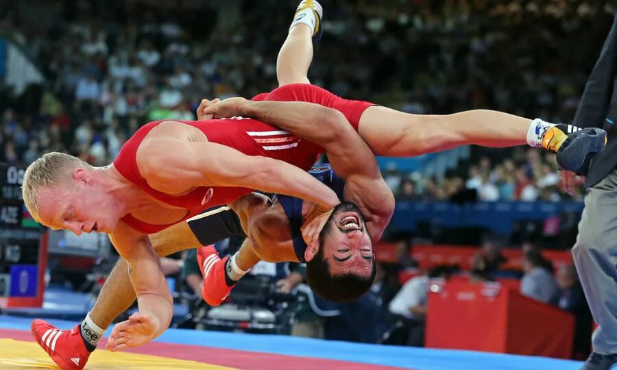 смешные моменты с олимпийских игр. прикольные фото спортсменов. олимпийские игры моменты. шубенков на олимпиаде. гимнасты мужчины.