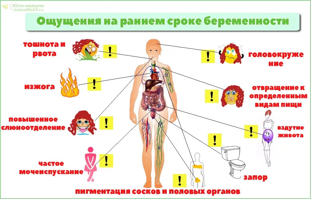 Когда появляются первые симптомы. Симптомы беременности. Симптомы на ранних сроках. Симптомы при беременности. Слюноотделение на ранних сроках беременности до задержки.