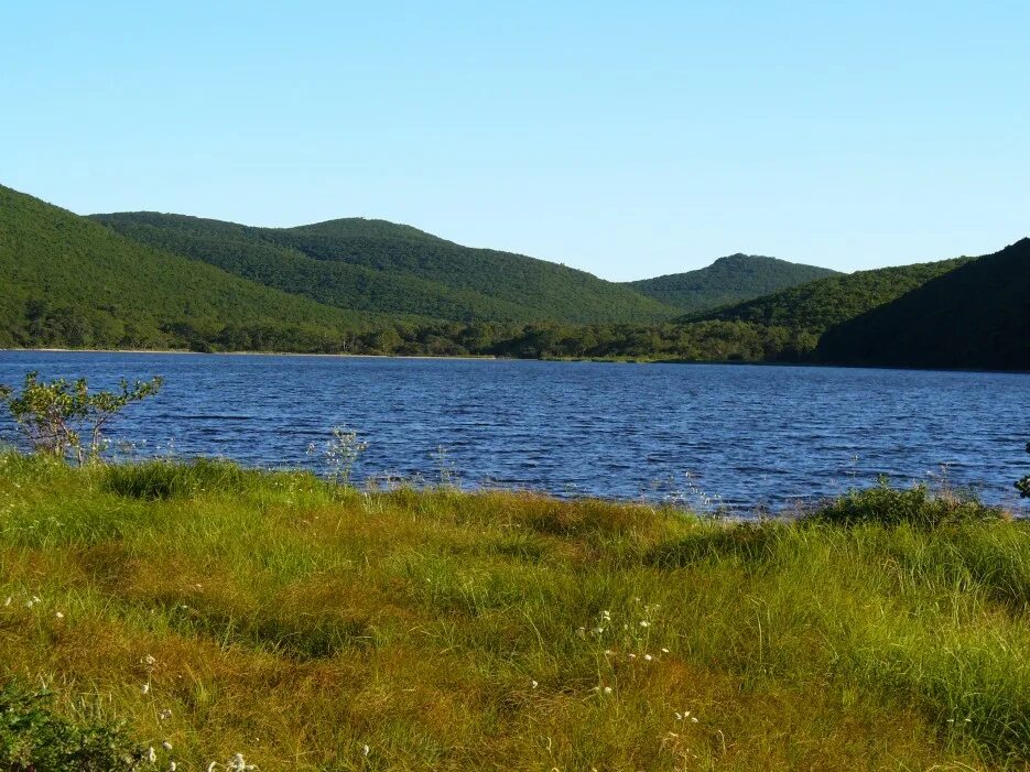 озеро ханка приморский край. озеро пресное приморский край. поселок дунай приморье. озеро пресное приморский край. приморский край бухта тимофеевка поселок тимофеевка.