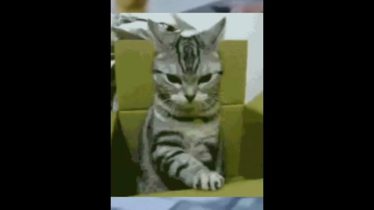 Whatcha doing
