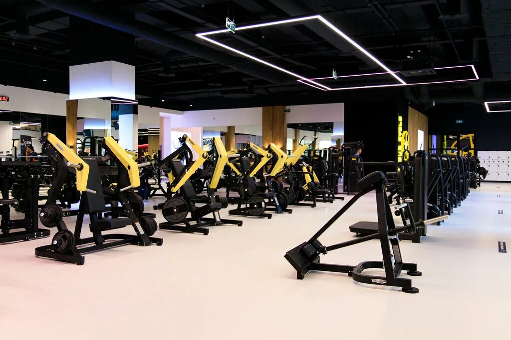 Ddx fitness мытищи. Ddx фитнес трц июнь. Ddx fitness красногорск. Ddx fitness одинцово. Ddx fitness мытищи июнь.