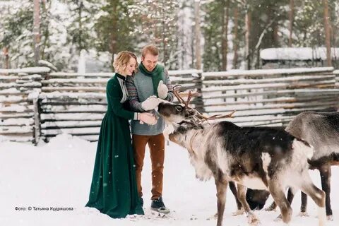 Северные туры