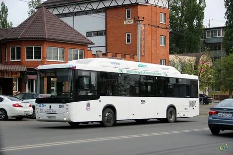Автобус 51