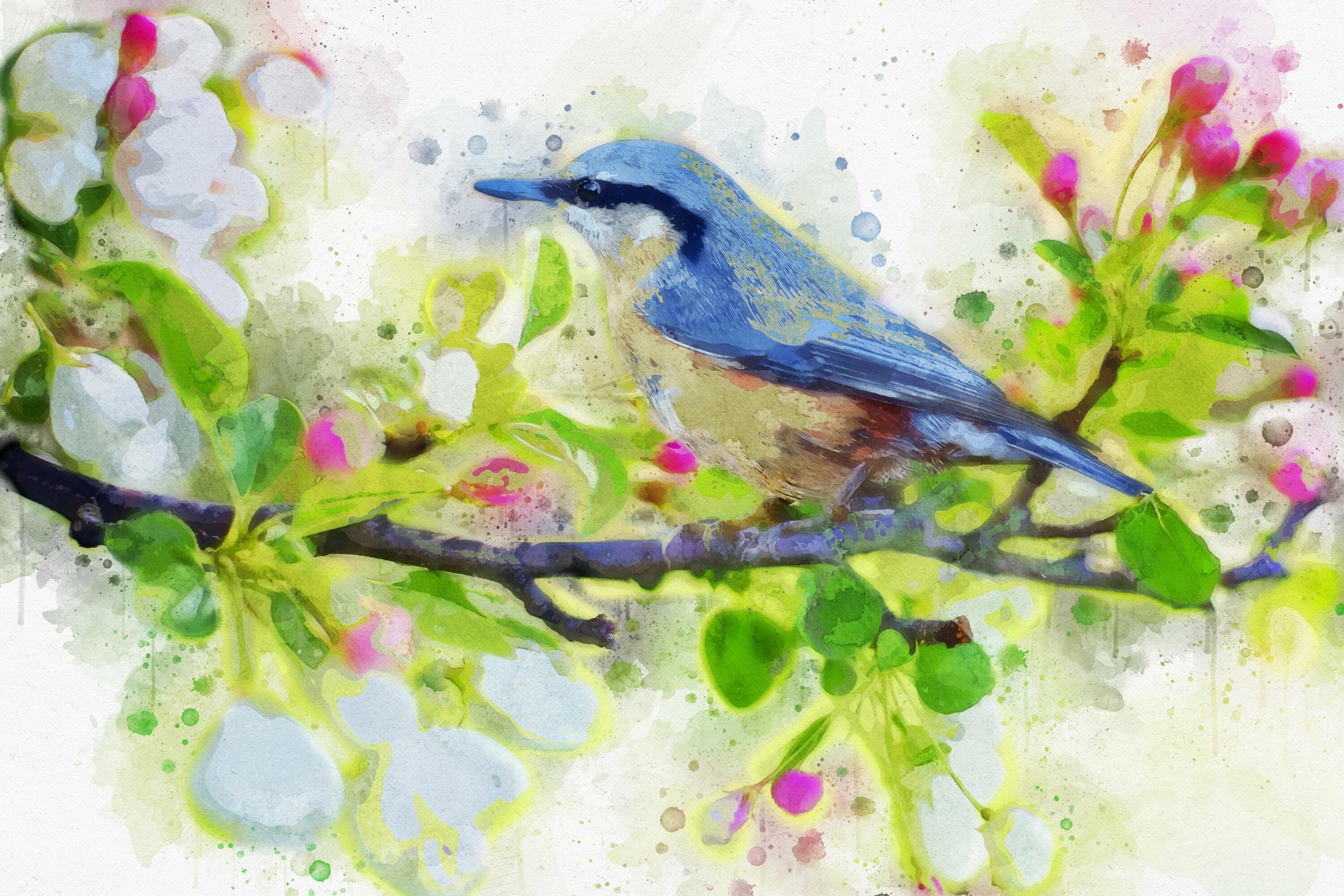 Весенние птицы рисунок. Весенние рисунки. Птицы живопись. Птица рисунок. Рисунки красками.