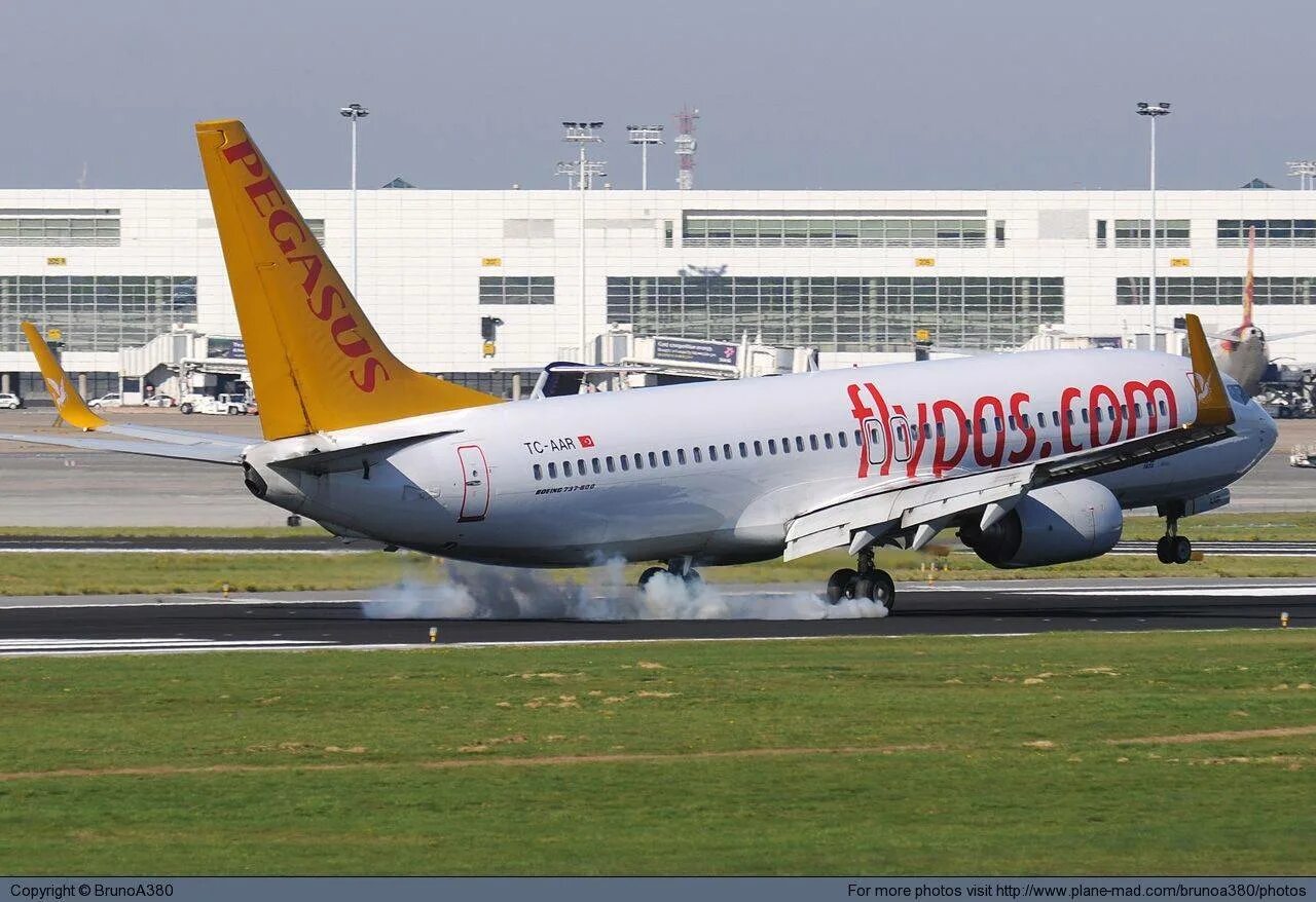 Авиакомпания Пегасус Эйрлайнс. А321 Пегасус. А320 Пегасус. Pegasus Airlines Airbus-320.