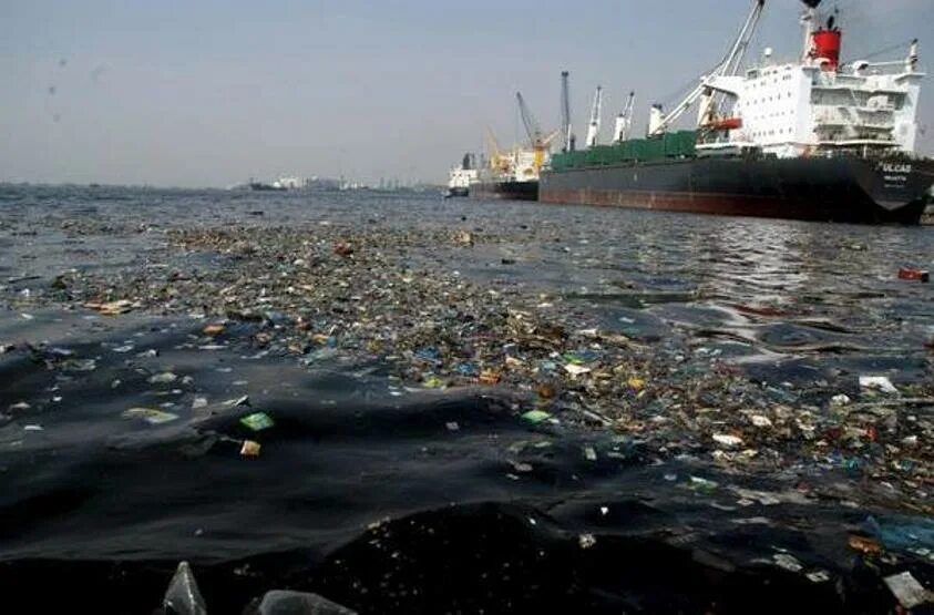Чем опасны отходы в морях