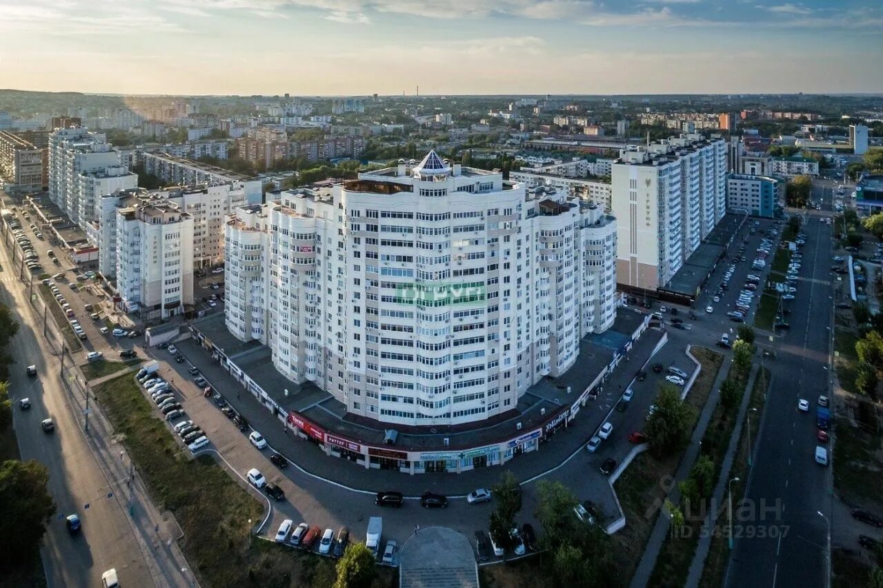 Триумф пушкина