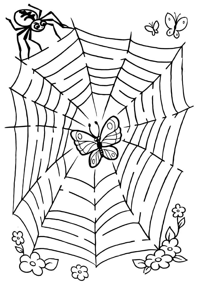 лабиринт насекомые. паук на паутине раскраска. паутина раскраска. паучок раскраска. паутина рисунок.