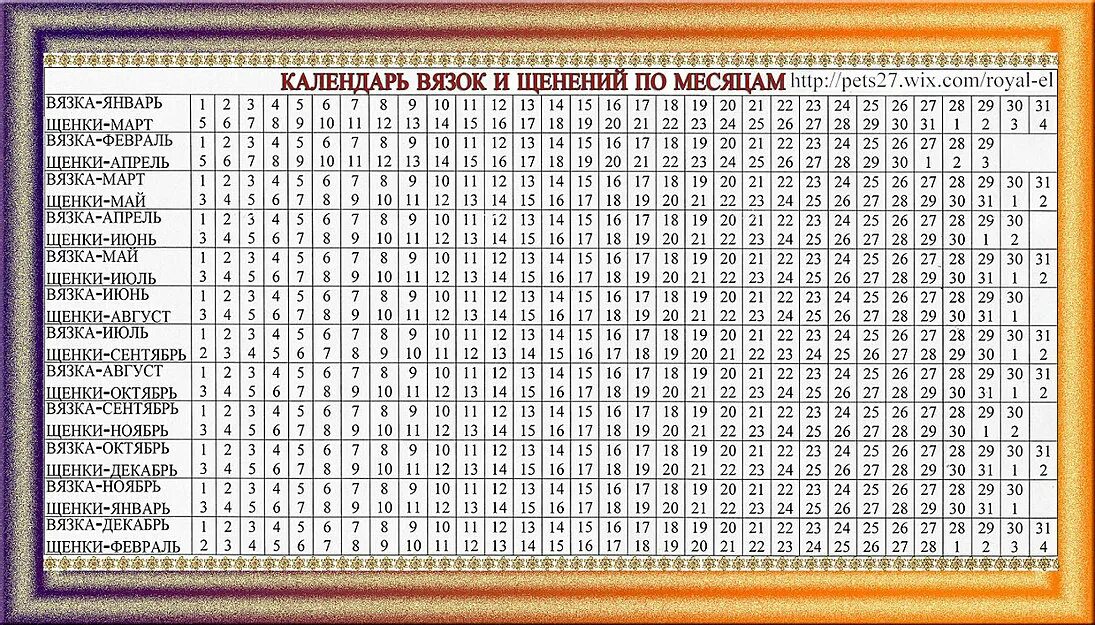 Таблица вязок и родов у собак. Календарь беременности собаки. Календарь родов у собак. Календарь беременности и родов у собак. Узнать день недели рождения