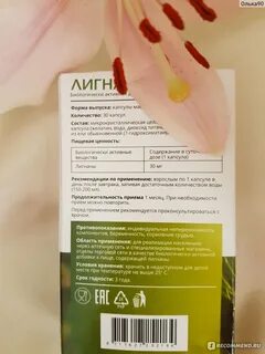 Климакс лигнариус