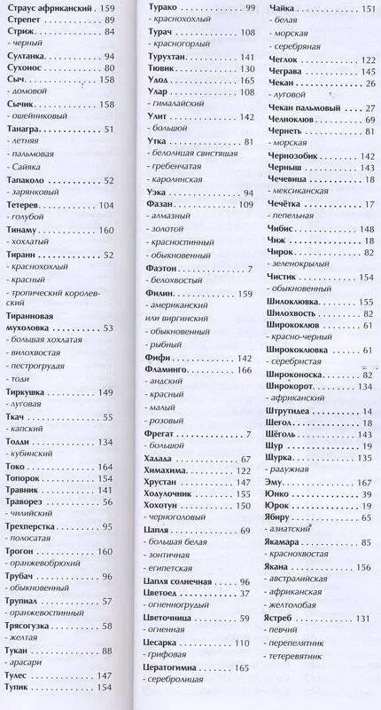 Название птиц по алфавиту список. Список птиц по алфавиту. название всех птиц по алфавиту. название птиц по алфавиту от а до я список.