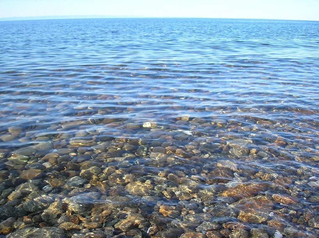 Воды байкала чисты и прозрачны. Байкал прозрачность воды. Байкал чистота воды. Чистая вода Байкала. Прозрачность воды в Волге.