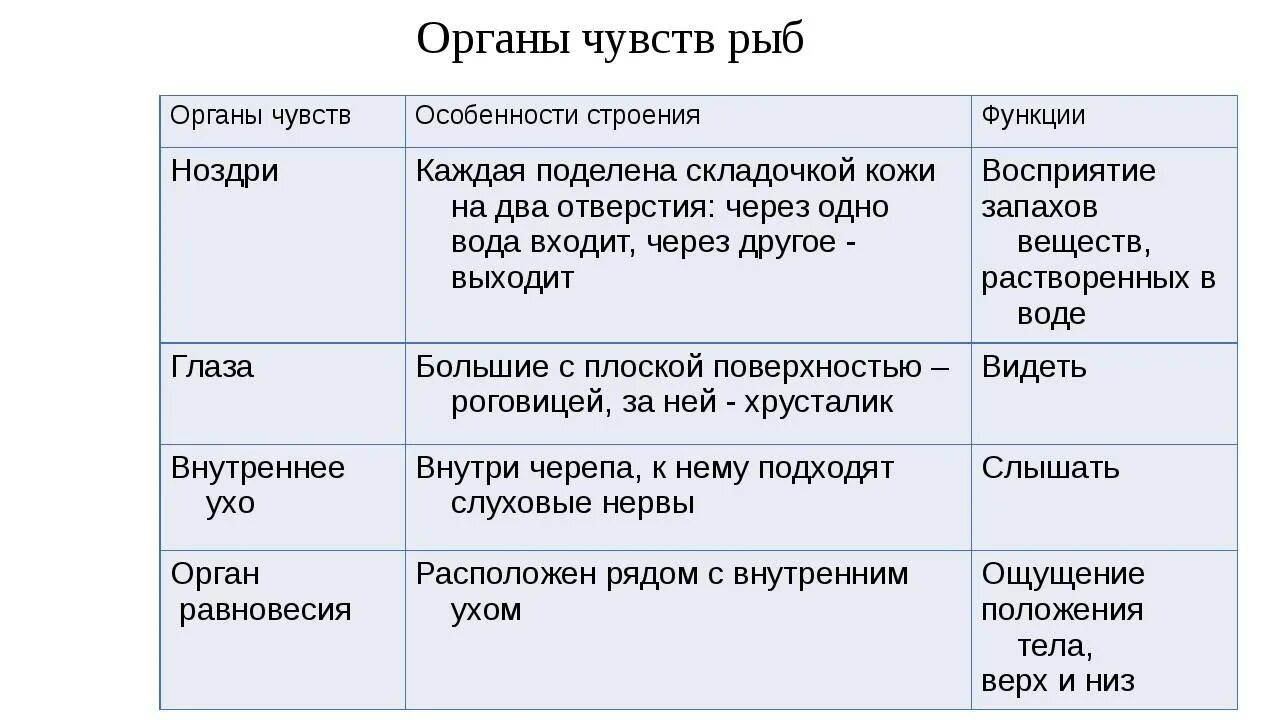 Внешнее строение рыбы 8 класс биология таблица