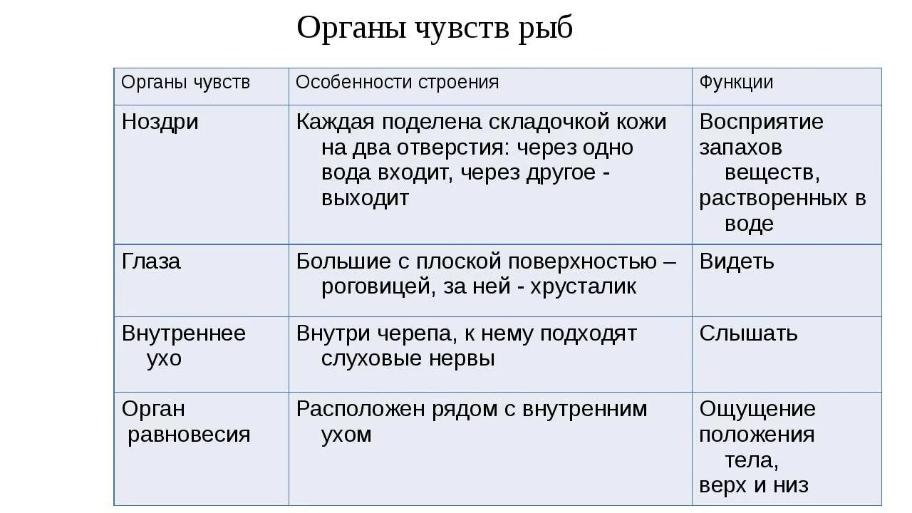 Биология 7 класс параграф рыбы. Органы чувств рыбы особенности строения и функции. Особенности органов чувств у рыб. Органы чувств у рыб 7 класс биология. Таблица по биологии органы чувств рыб.