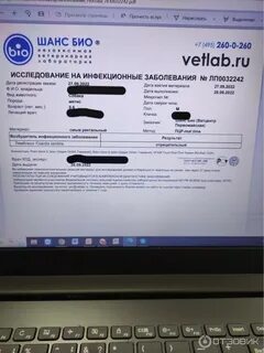 Шанс био сайт