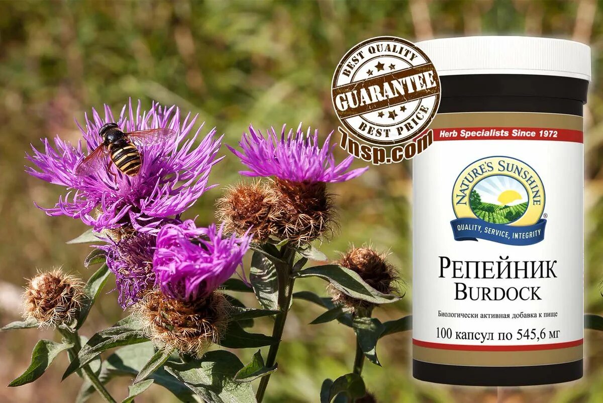 Пау д'арко нсп. Репейник 3 нсп. Грецкий черный орех бад капсулы. Репейник (burdock) от nsp. Репейник нсп.