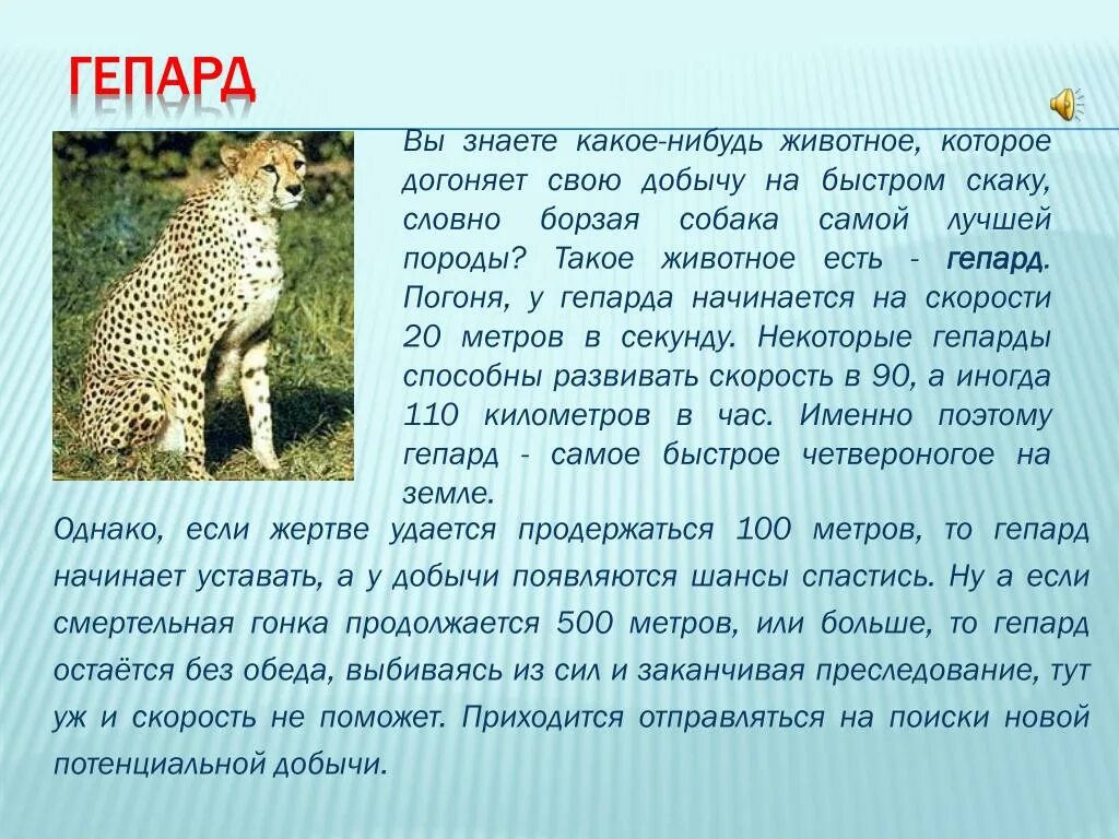 Опишите какое нибудь животное