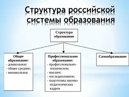 Структура системы образования в школе