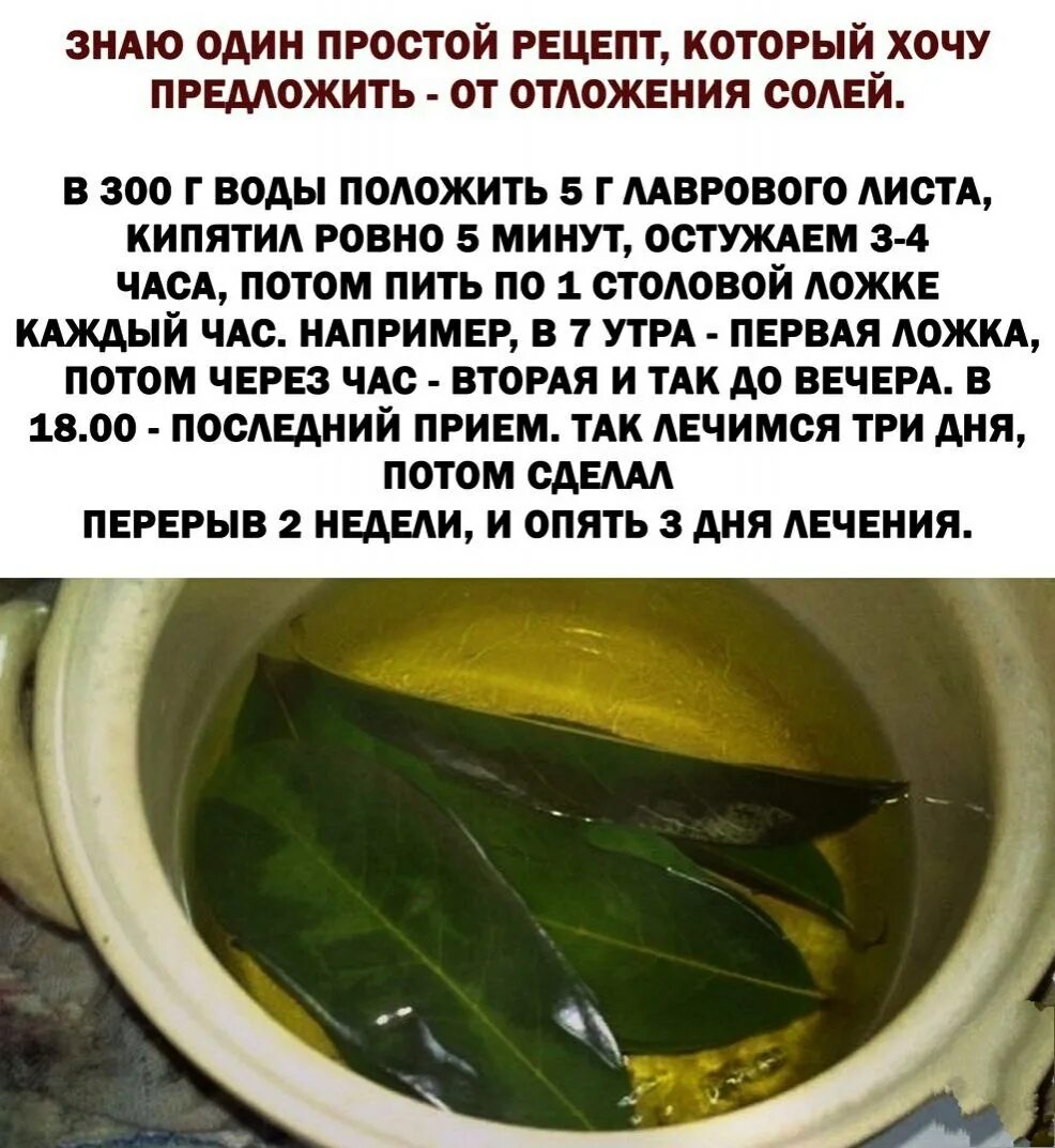 Как бороться с отложением солей. Рецепт от отложения солей. мазь при отложении солей. мазь из лаврового листа. рецепты с лавровым листом.