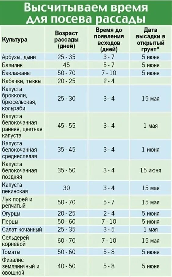 Через сколько всходит кукуруза