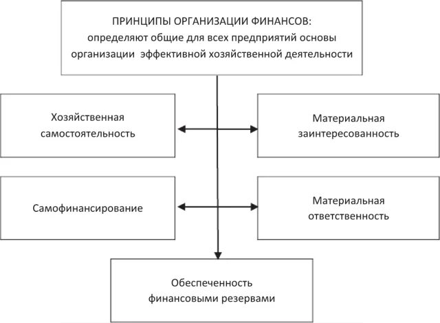 Организация финансов бюджетного учреждения. Принципы организации финансовых предприятий. Принципы организации финансов фирмы. Принципы финансов предприятия. К принципам организации финансов относят.